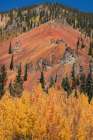 USA, Colorado, San Juan Mountains. Mountain ridge and autumn trees. Art Print